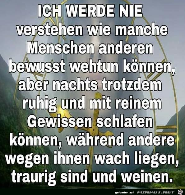Werde nie verstehen Werde nie verstehen