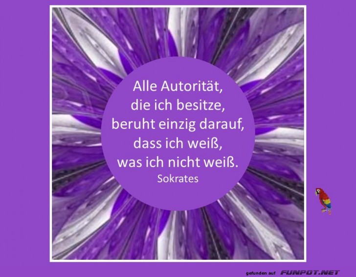 Alle Autoritaet Alle Autoritaet