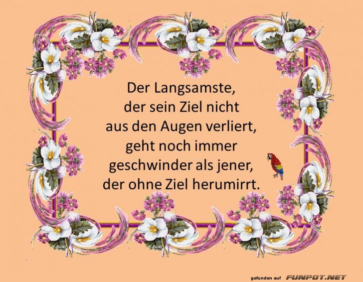 Der Langsamste Der Langsamste