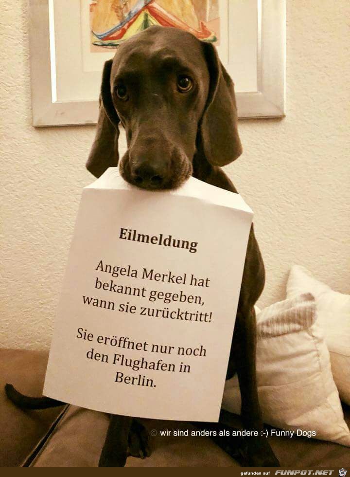 Eilmeldung ......... Eilmeldung .........
