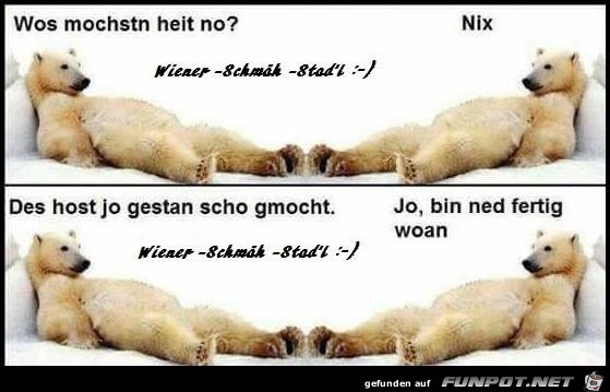 Wos mochstn heit no? Wos mochstn heit no?