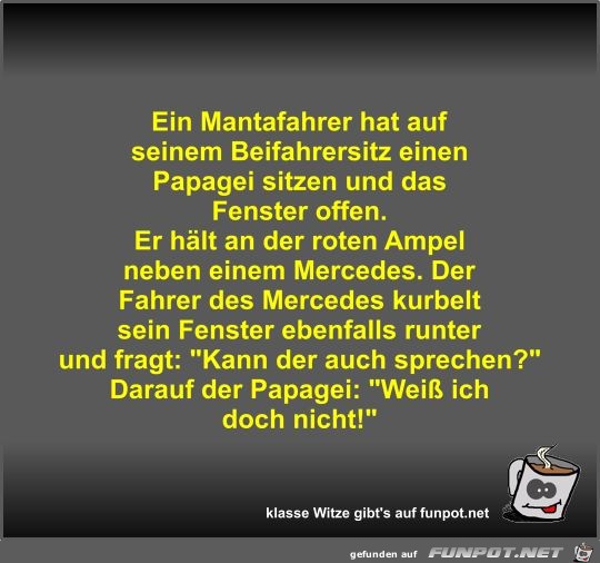 Ein Mantafahrer hat auf seinem Beifahrersitz einen Papagei Ein Mantafahrer hat auf seinem Beifahrersitz einen Papagei