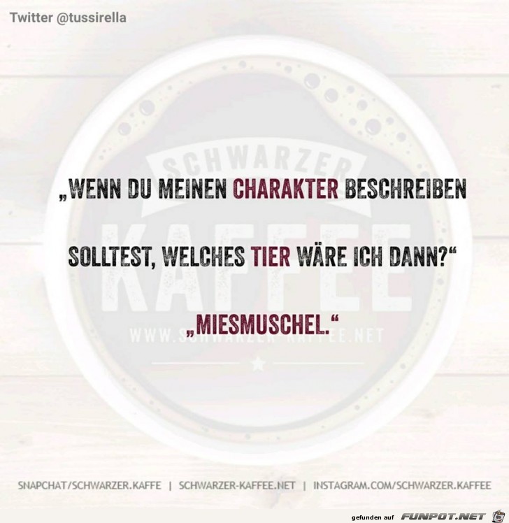 Charakter Beschreibung Charakter Beschreibung