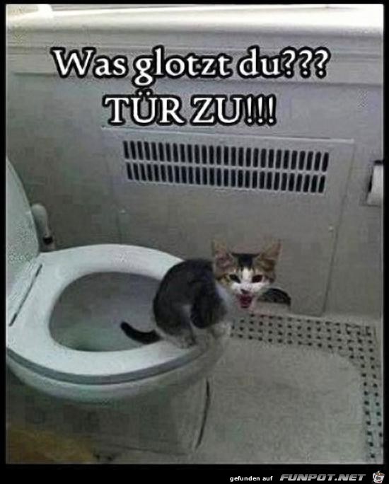 was glotzt du?......