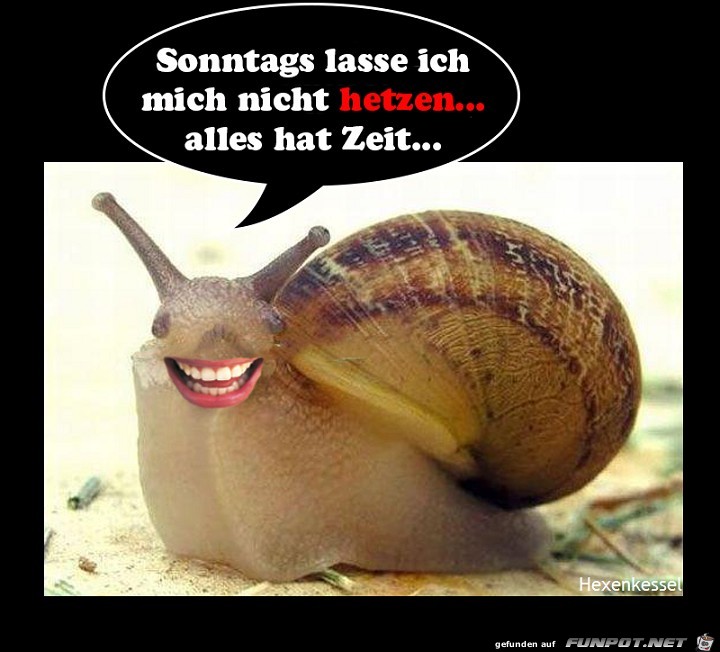 Sonntags lass ich mich nicht hetzen Sonntags lass ich mich nicht hetzen