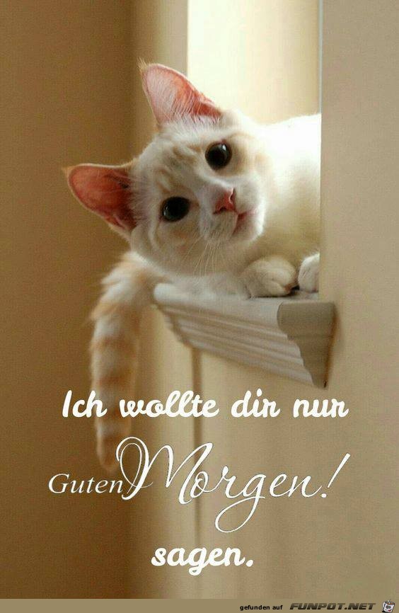 Wollte dir nur Wollte dir nur