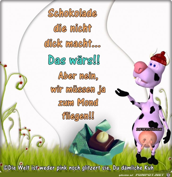 Schokolade die nicht dick macht Schokolade die nicht dick macht