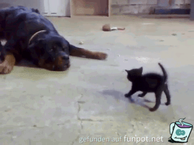 Tierisches Spiel Tierisches Spiel