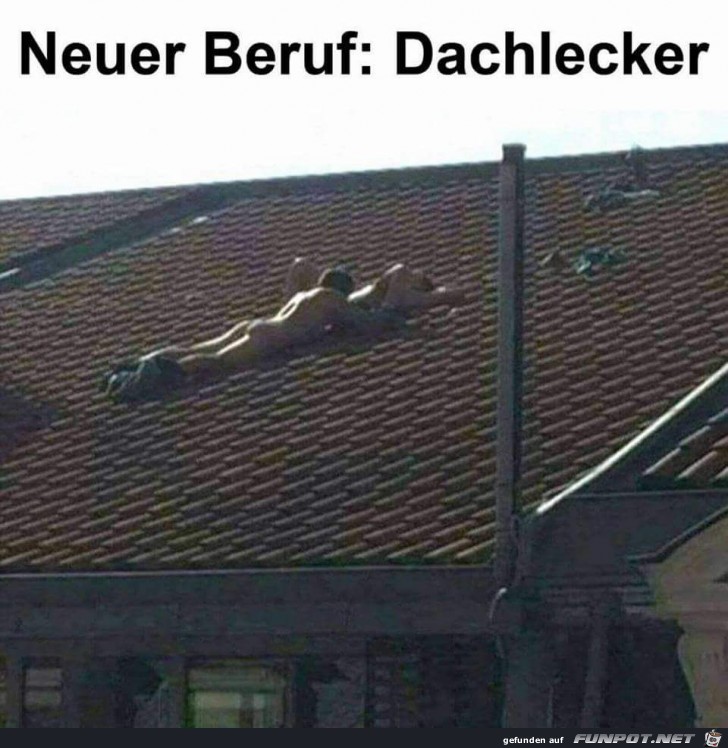 Dachdecker Dachdecker