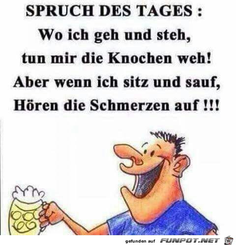 Spruch des Tages