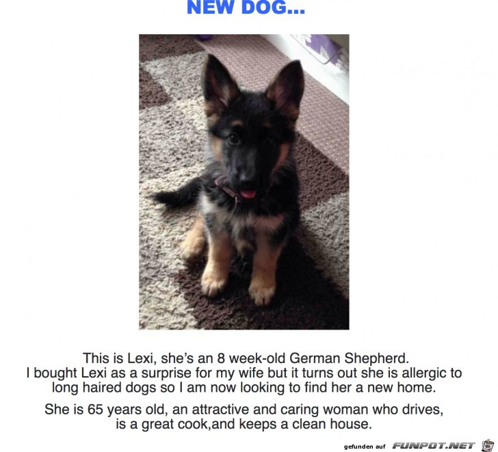 Das ist Lexi Das ist Lexi