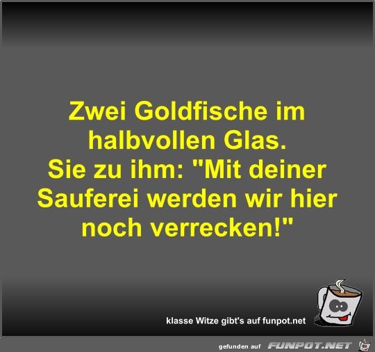 Zwei Goldfische im halbvollen Glas Zwei Goldfische im halbvollen Glas