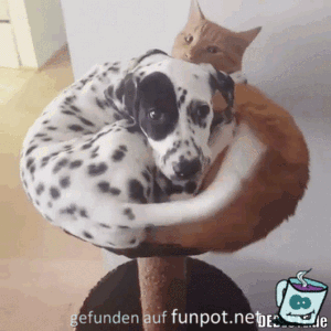 Platz für Zwei Platz für Zwei