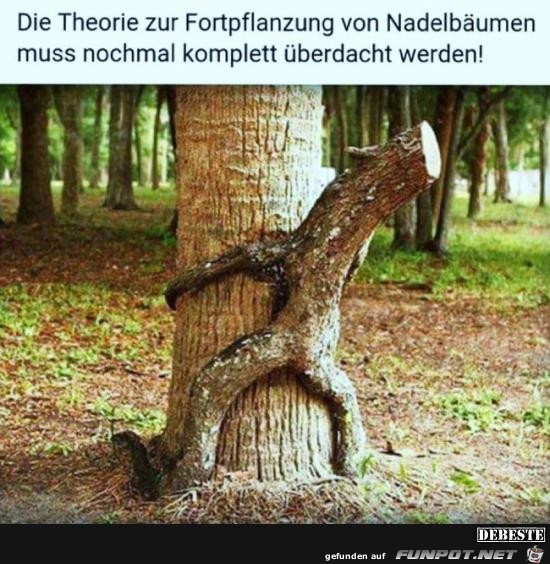 die Theorie der Fortpflanzung...... die Theorie der Fortpflanzung......