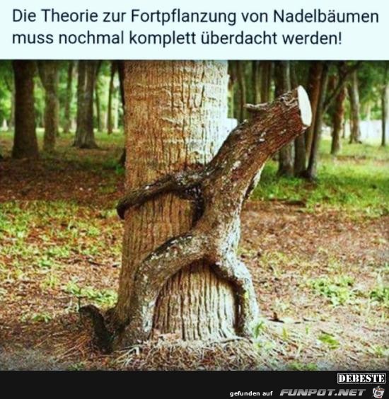 die Theorie der Fortpflanzung......