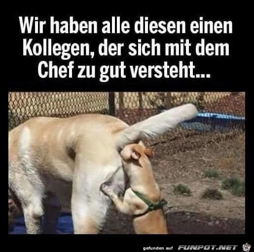 diesen einen Kollegen....... diesen einen Kollegen.......