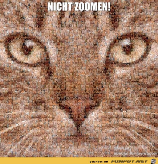 Ja nicht in das Bild reinzoomen! Ja nicht in das Bild reinzoomen!