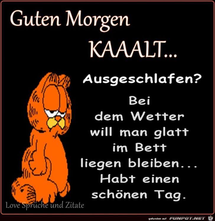 Guten Morgen KAAAALT Guten Morgen KAAAALT