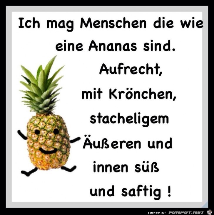 Mag Menschen wie Annanas