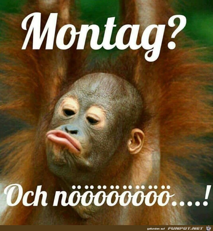 Montag Montag