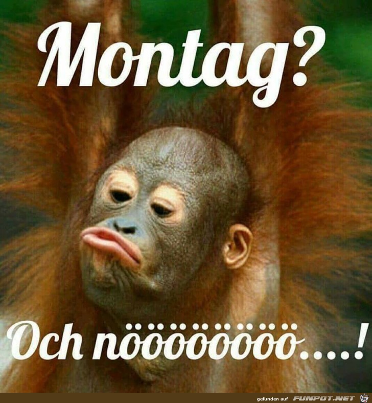 Montag