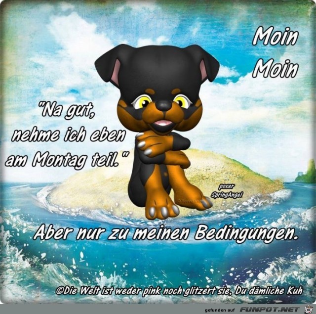 Na gut Na gut