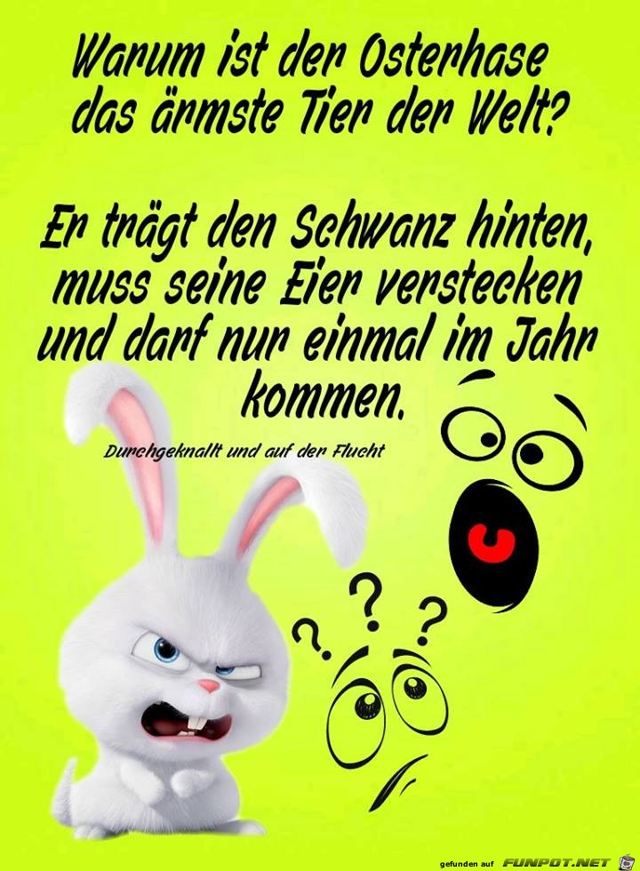 Warum ist der Osterhase Warum ist der Osterhase
