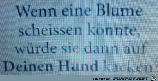 gute Frage gute Frage