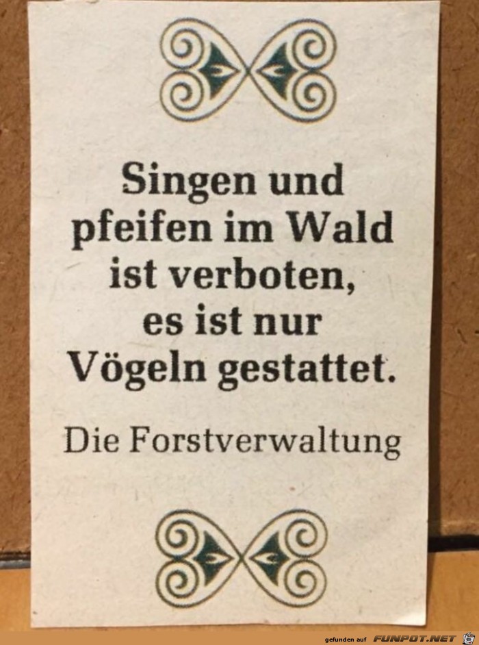 singen im Wald singen im Wald