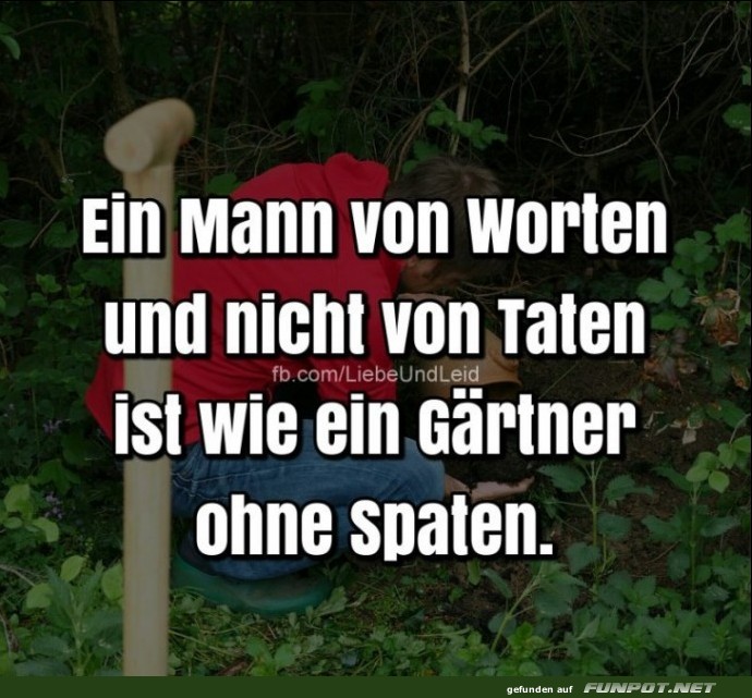 Da ist was dran Da ist was dran