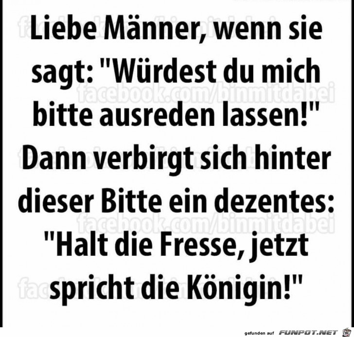 Liebe Männer Liebe Männer