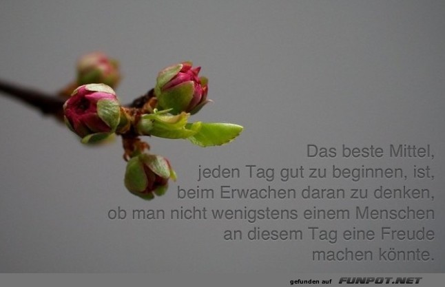 das-beste-mittel-mein-papa-sagt......... das-beste-mittel-mein-papa-sagt.........