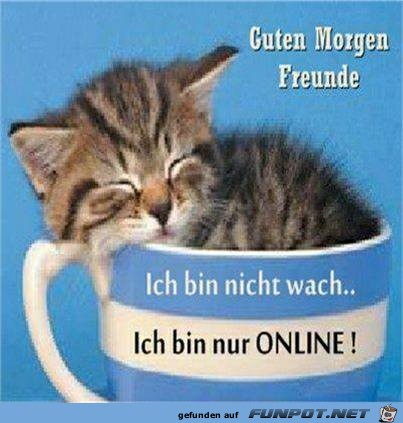 Guten Morgen Freunde