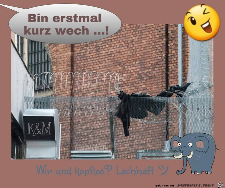 Bin erstmal kurz wach Bin erstmal kurz wach