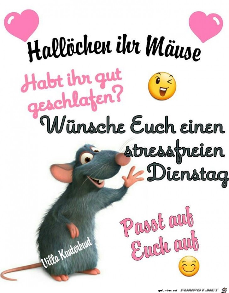 Halloechen ihr Maeuse