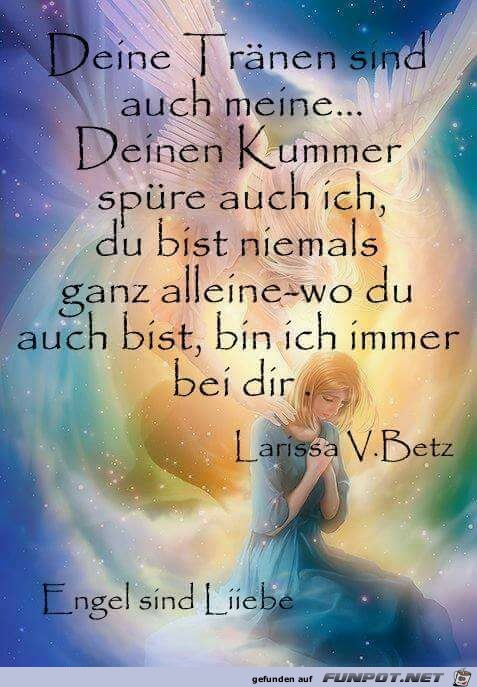 Deine Traenen Deine Traenen