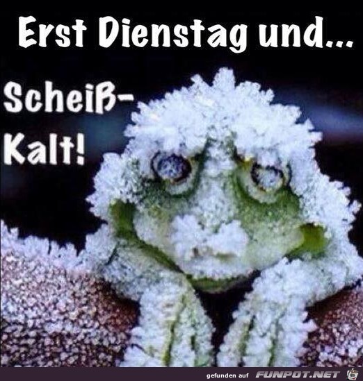 Dienstag