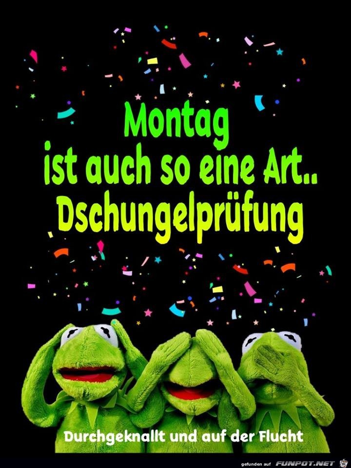 Dschungelpruefung Dschungelpruefung