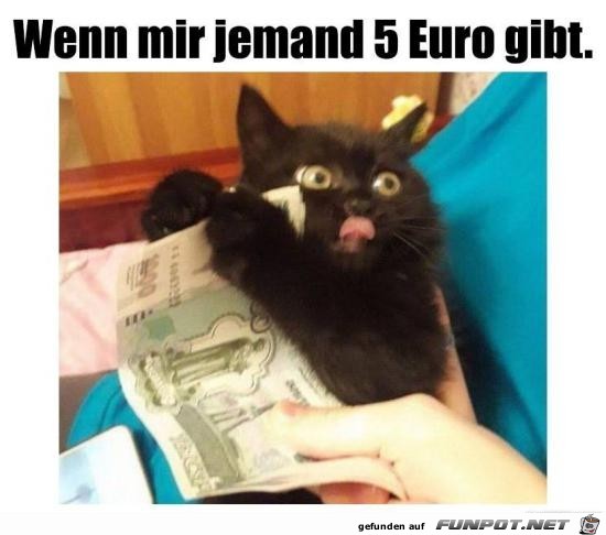 Meins Meins