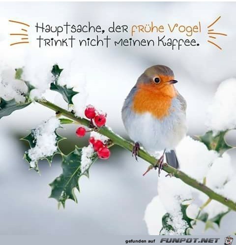 Der frhe Vogel