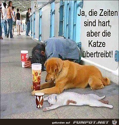 Harte Zeiten Harte Zeiten