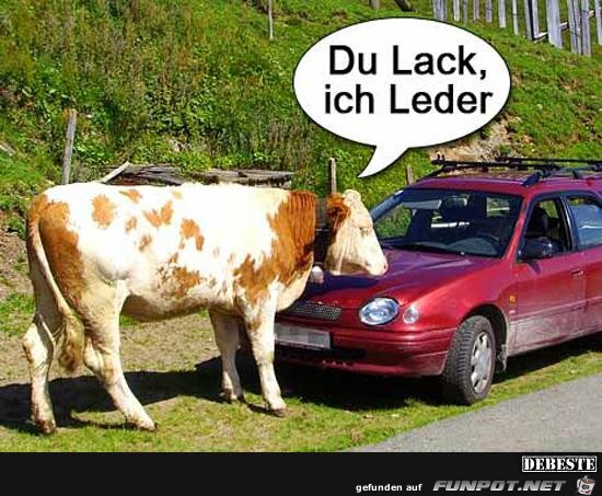 du Lack, ich Leder........