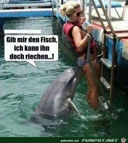 Her damit Her damit
