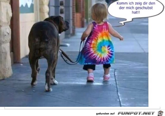geschubst geschubst