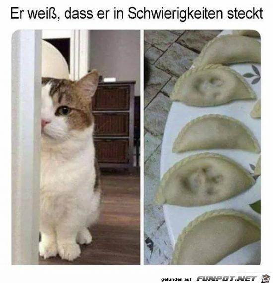 Das gibt Probleme Das gibt Probleme