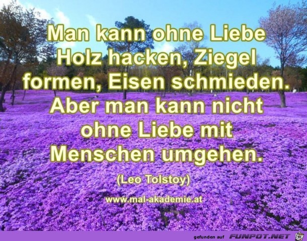 Ohne Liebe