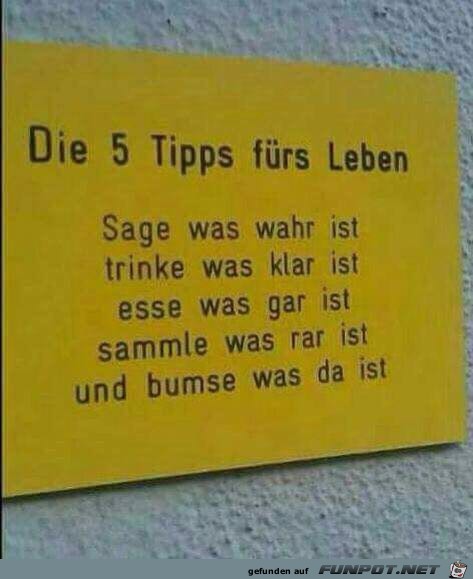 5 Tipp's für's Leben 5 Tipp's für's Leben