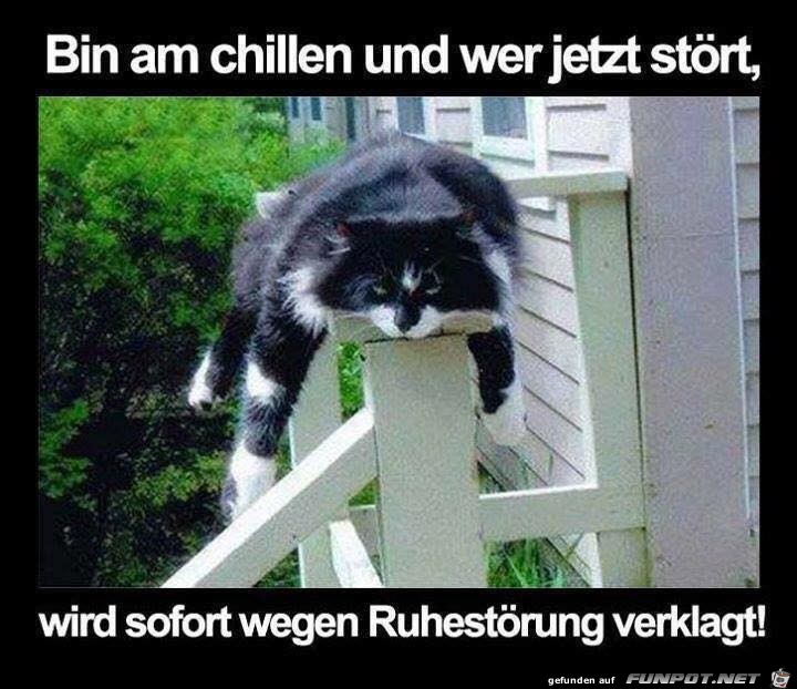 Bin am chillen Bin am chillen