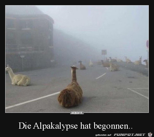 Es geht los Es geht los