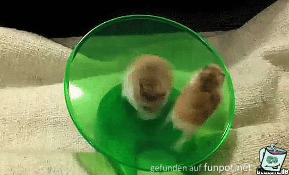 Sportlich Sportlich